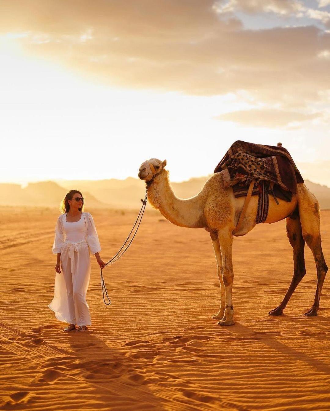 Tamim Luxury Wadi Rum Camp 外观 照片